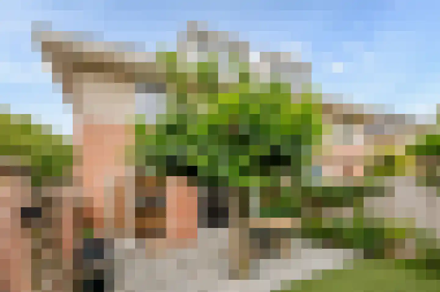 Koninginnehof 12 Pijnacker thumbnail 42