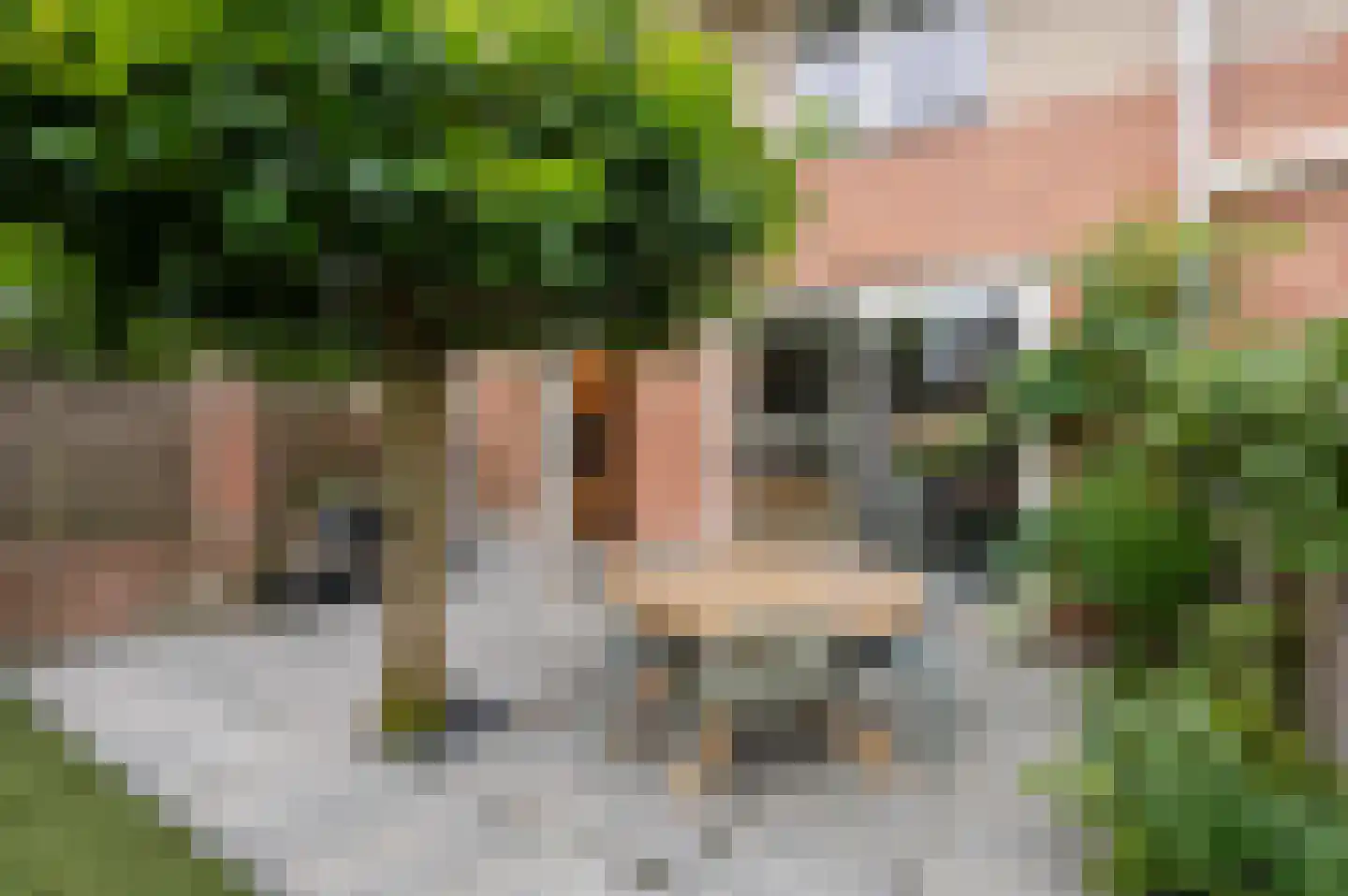 Koninginnehof 12 Pijnacker thumbnail 43