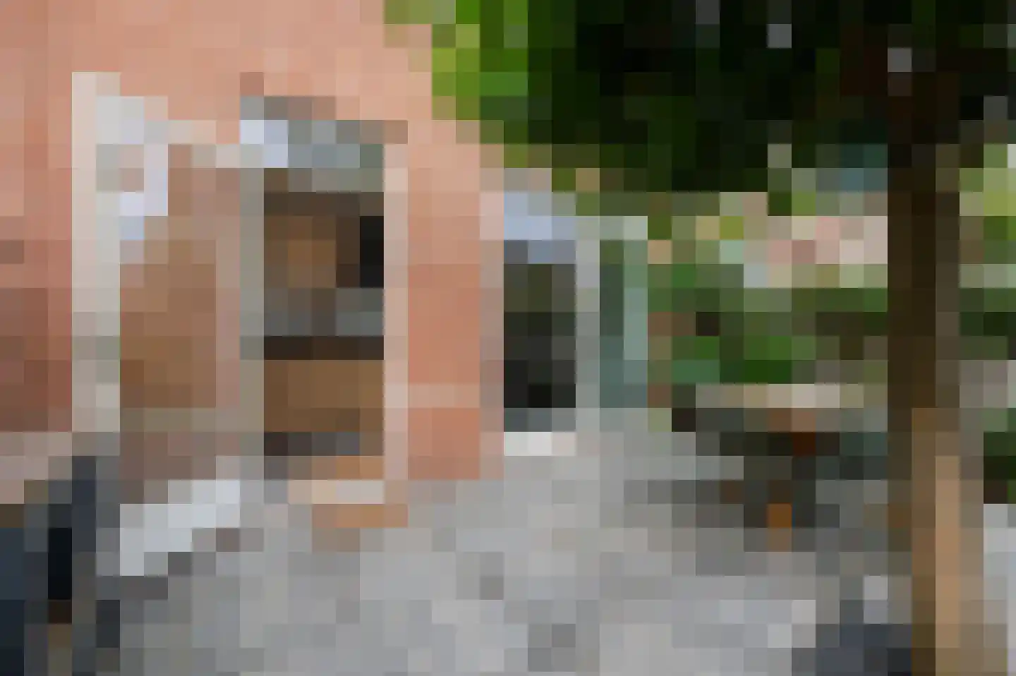 Koninginnehof 12 Pijnacker thumbnail 44