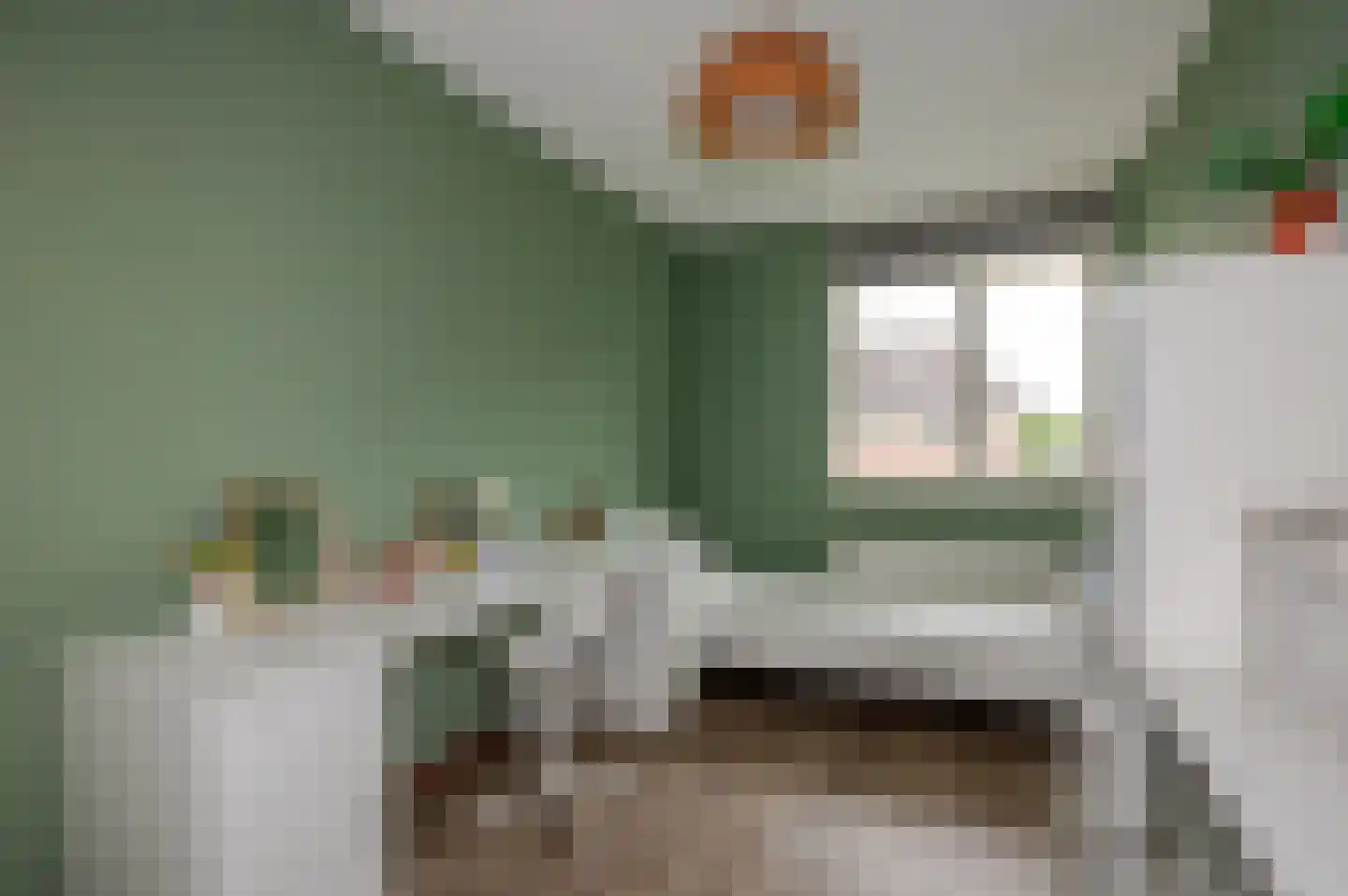 Koninginnehof 12 Pijnacker thumbnail 49