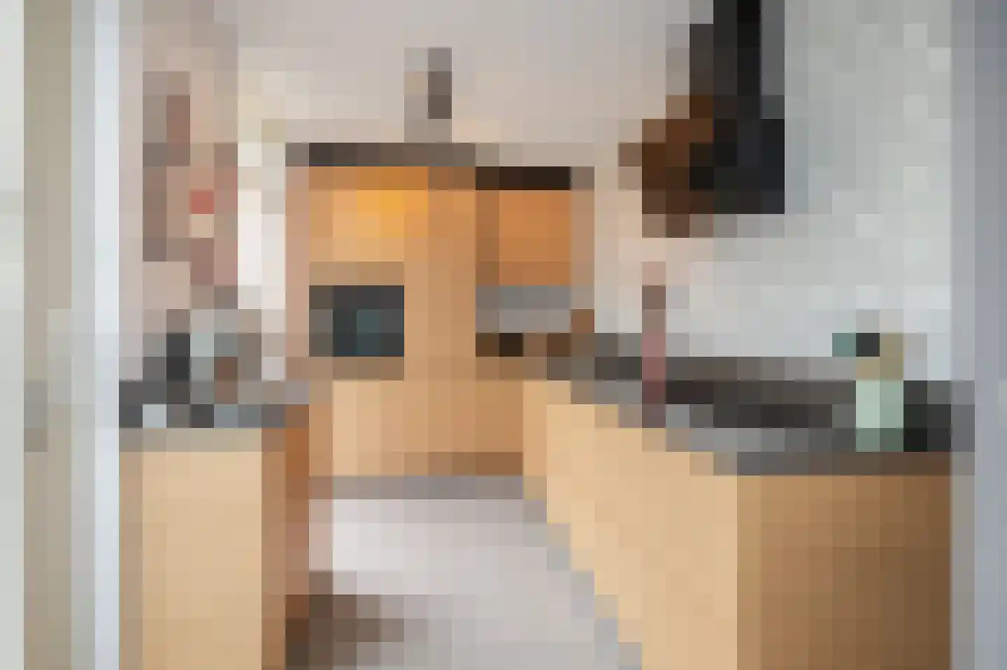 Koninginnehof 12 Pijnacker thumbnail 5