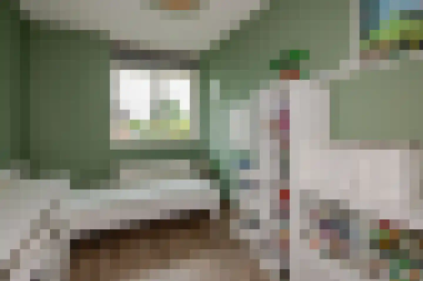 Koninginnehof 12 Pijnacker thumbnail 50