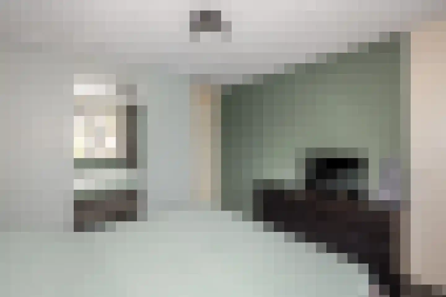 Koninginnehof 12 Pijnacker thumbnail 56