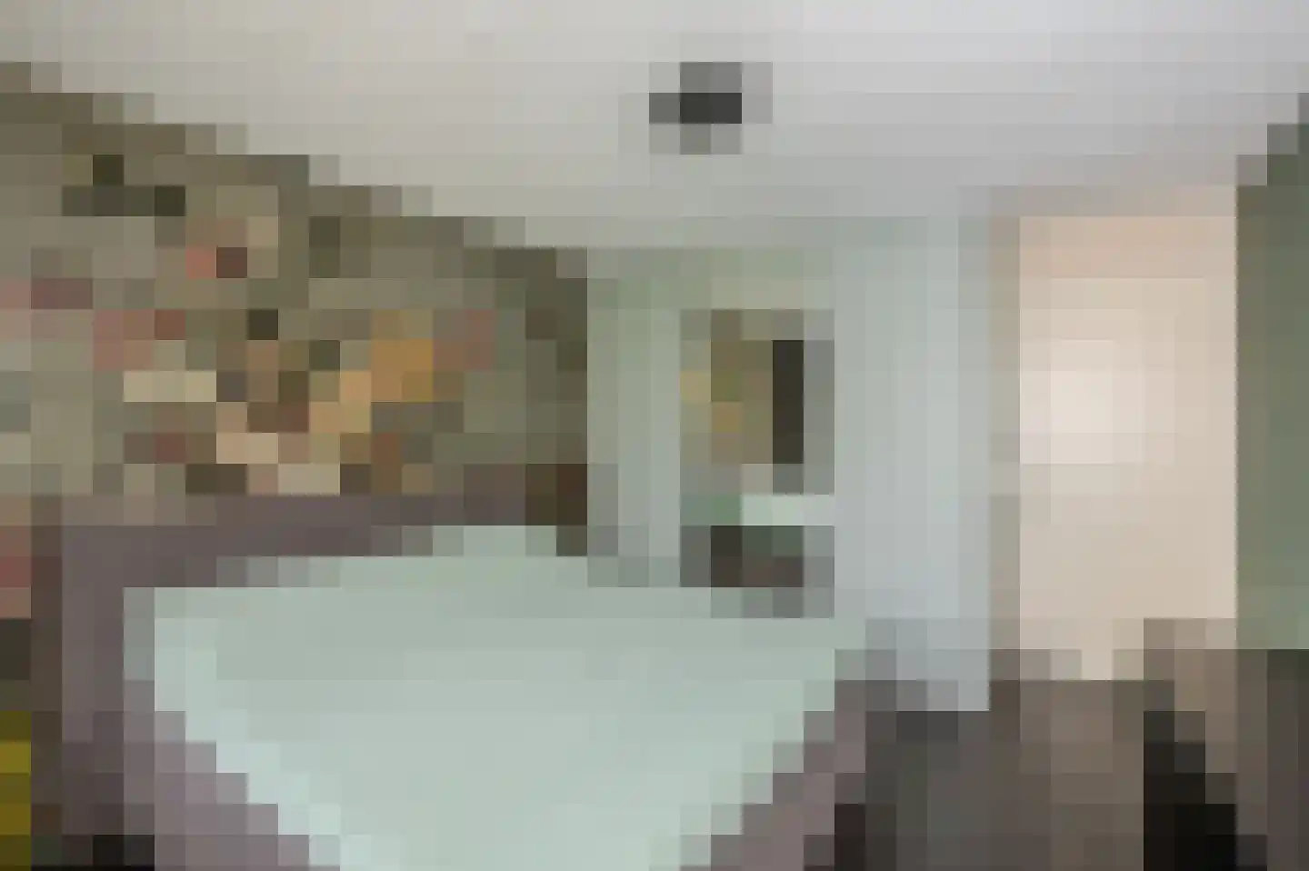 Koninginnehof 12 Pijnacker thumbnail 57