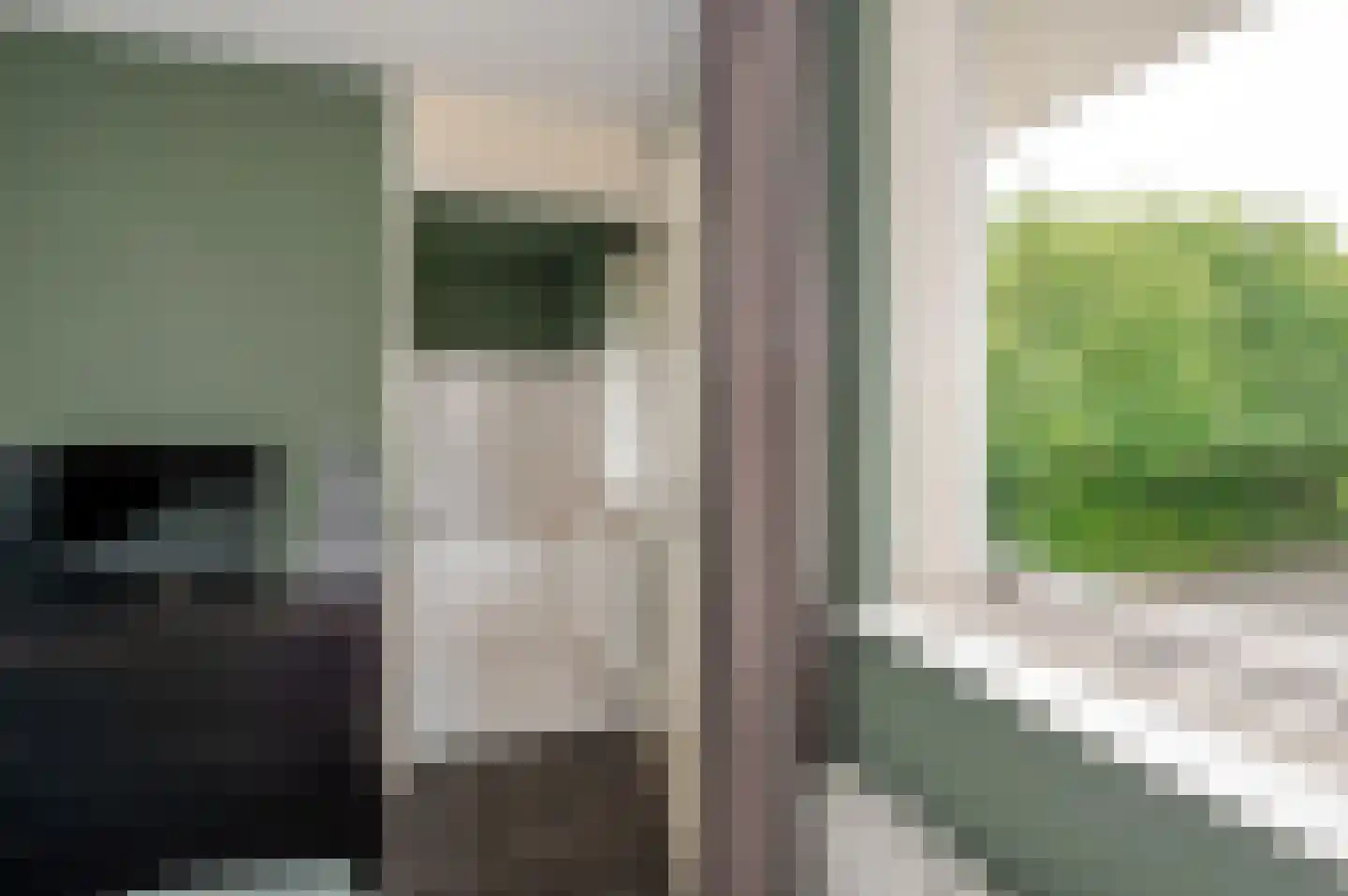 Koninginnehof 12 Pijnacker thumbnail 58