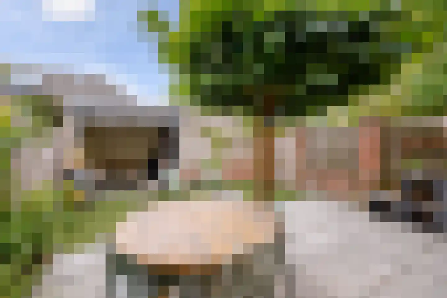 Koninginnehof 12 Pijnacker thumbnail 6