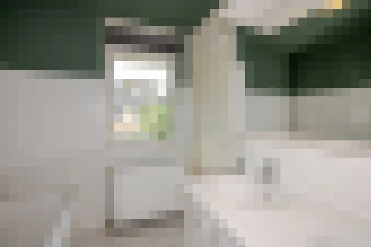 Koninginnehof 12 Pijnacker thumbnail 61