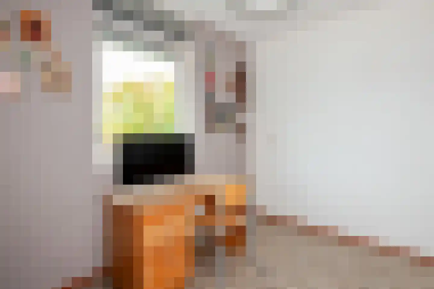 Koninginnehof 12 Pijnacker thumbnail 64