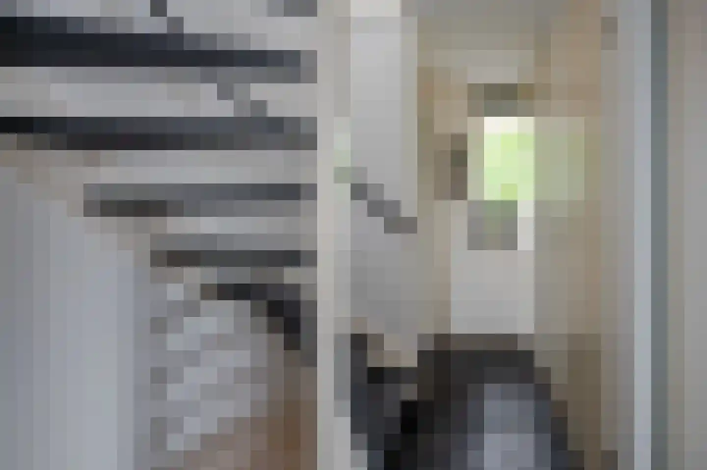 Koninginnehof 12 Pijnacker thumbnail 65