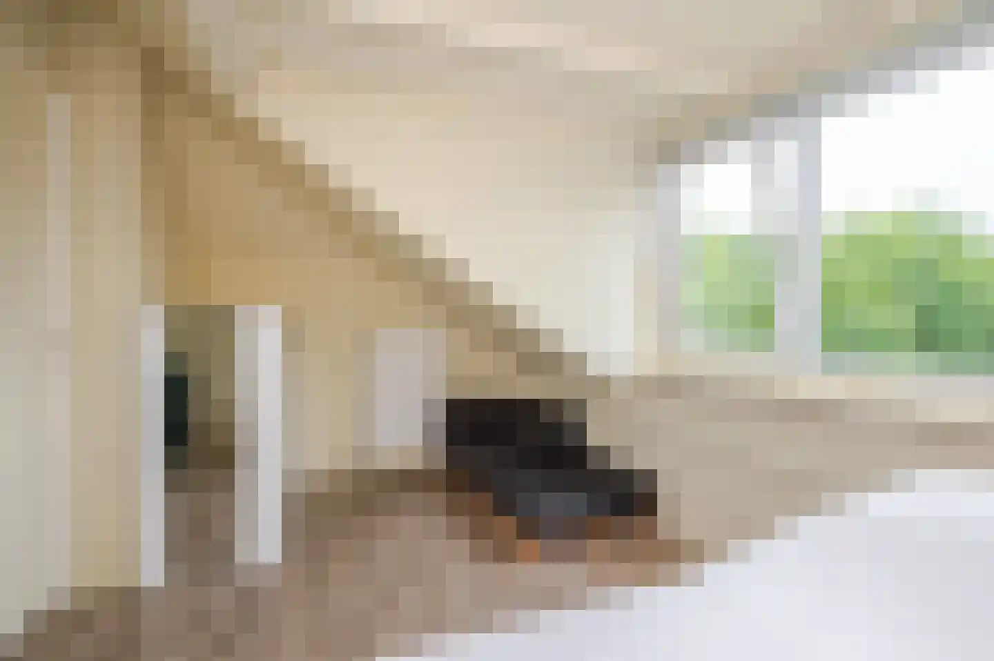 Koninginnehof 12 Pijnacker thumbnail 75