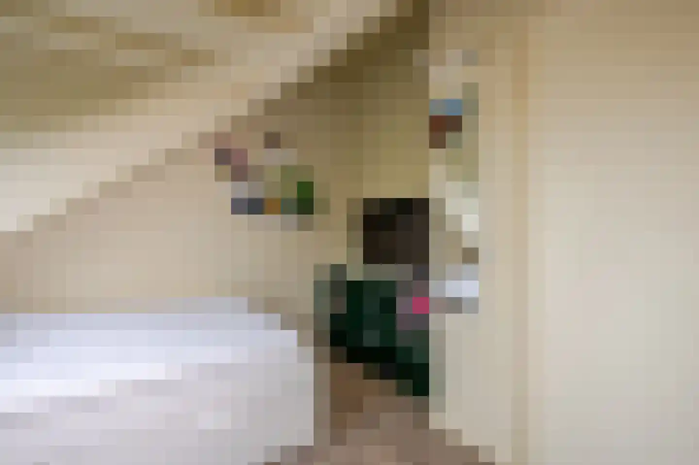 Koninginnehof 12 Pijnacker thumbnail 77