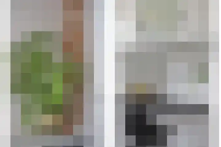 Koninginnehof 2 Tilburg thumbnail 18