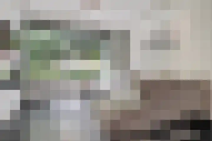 Koninginnehof 2 Tilburg thumbnail 4