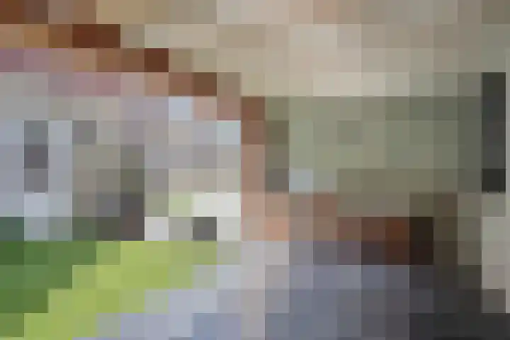 Koninginnehof 2 Tilburg thumbnail 40