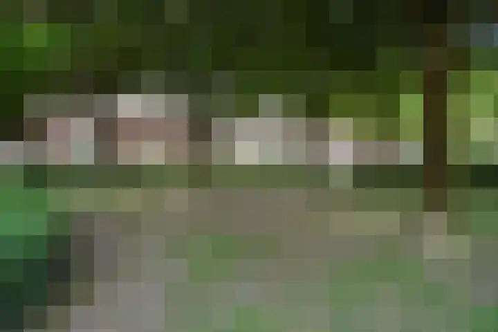 Koninginnehof 2 Tilburg thumbnail 46