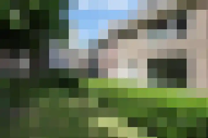 Koninginnehof 2 Tilburg thumbnail 47