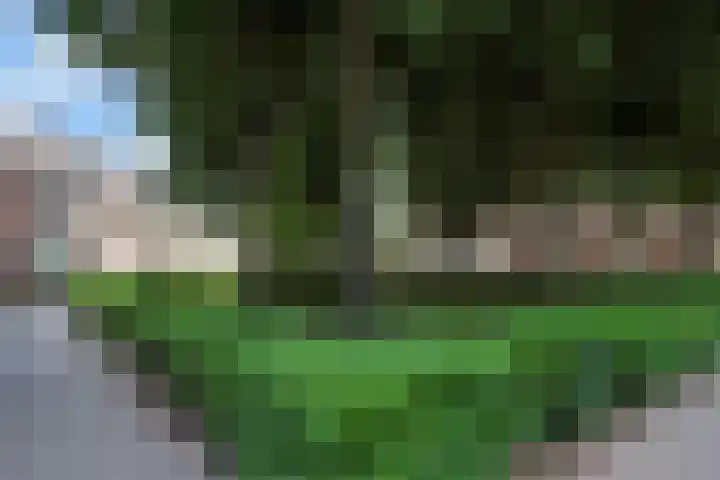 Koninginnehof 2 Tilburg thumbnail 48