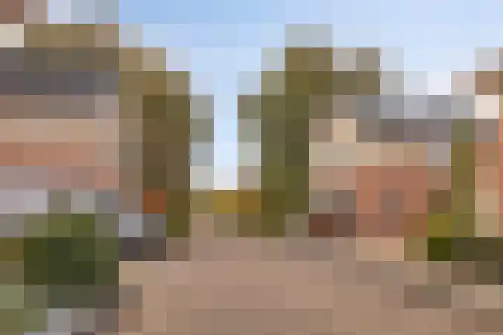 Koninginnehof 57 Pijnacker thumbnail 35