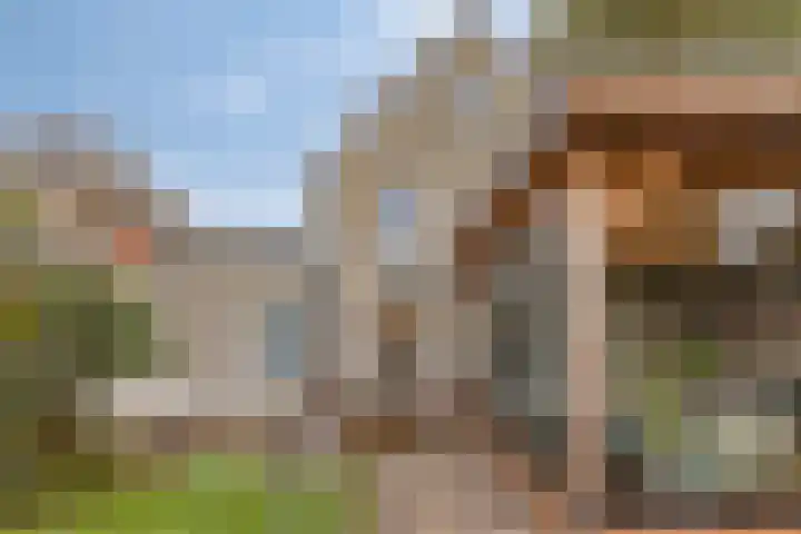 Koninginnehof 57 Pijnacker thumbnail 5