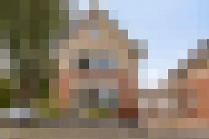 Koninginnehof 57 Pijnacker thumbnail 7