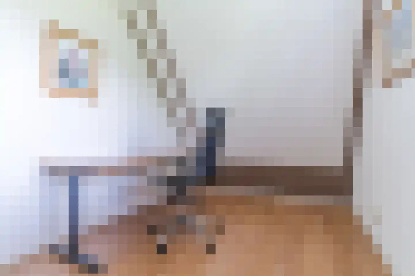 Koninginnekruid 10 Oudkarspel thumbnail 18
