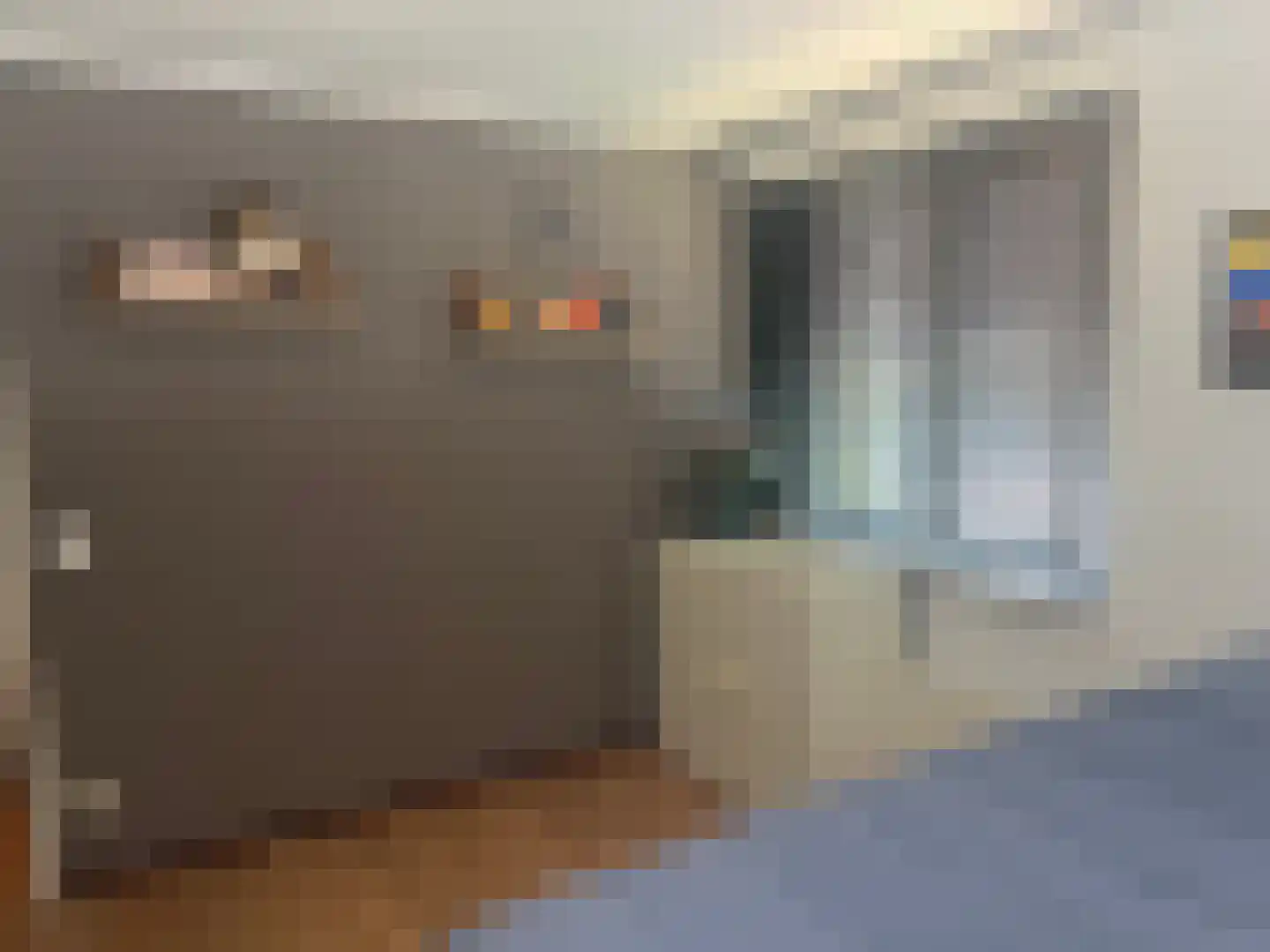 Koninginnekruid 10 Oudkarspel thumbnail 18