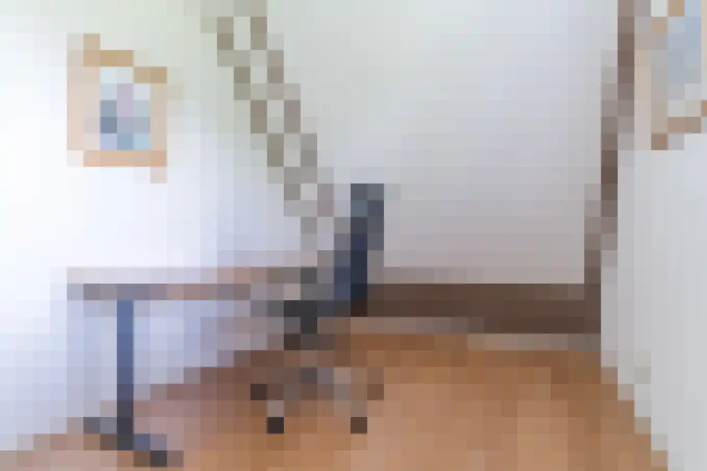 Koninginnekruid 10 Oudkarspel thumbnail 19