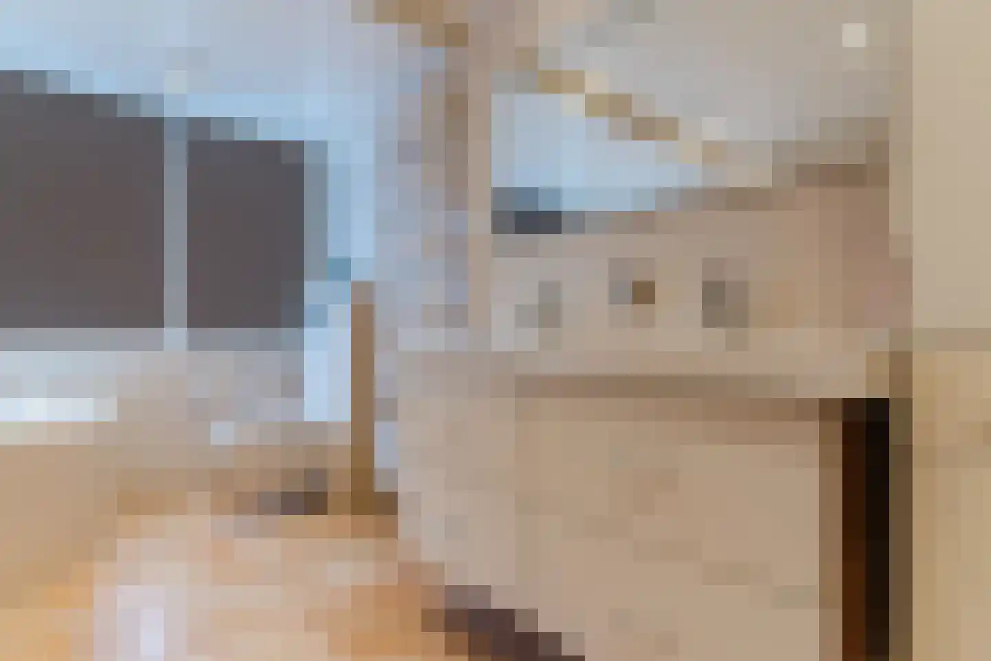 Koninginnekruid 10 Oudkarspel thumbnail 24