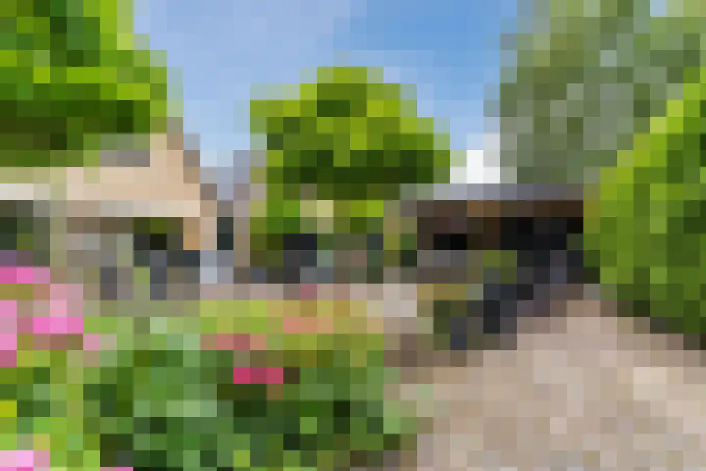Koninginnekruid 10 Oudkarspel thumbnail 30