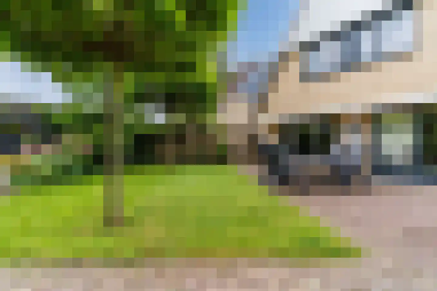 Koninginnekruid 10 Oudkarspel thumbnail 32