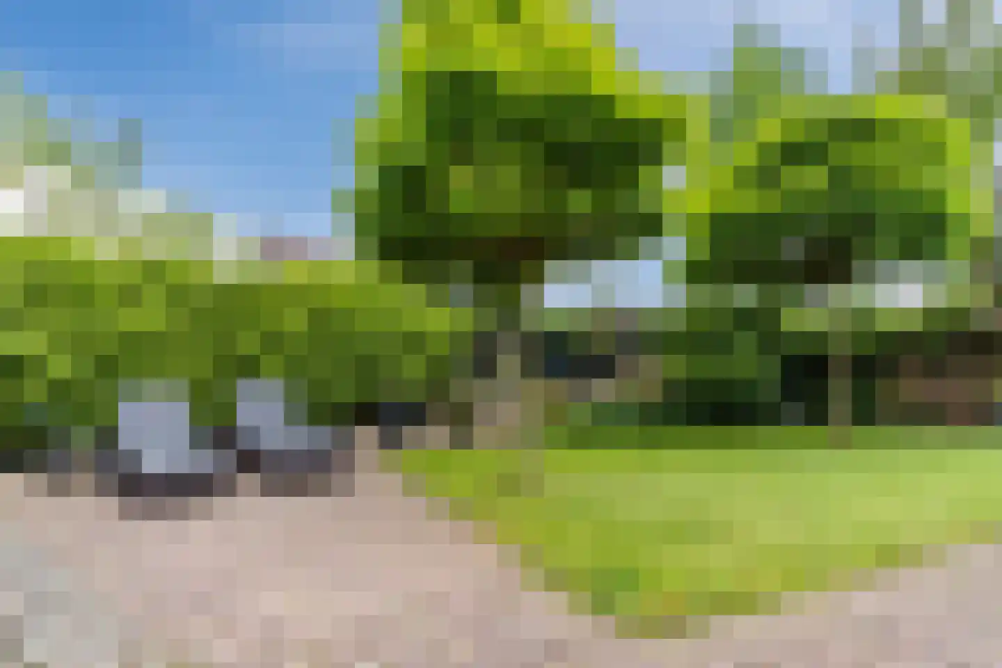 Koninginnekruid 10 Oudkarspel thumbnail 33