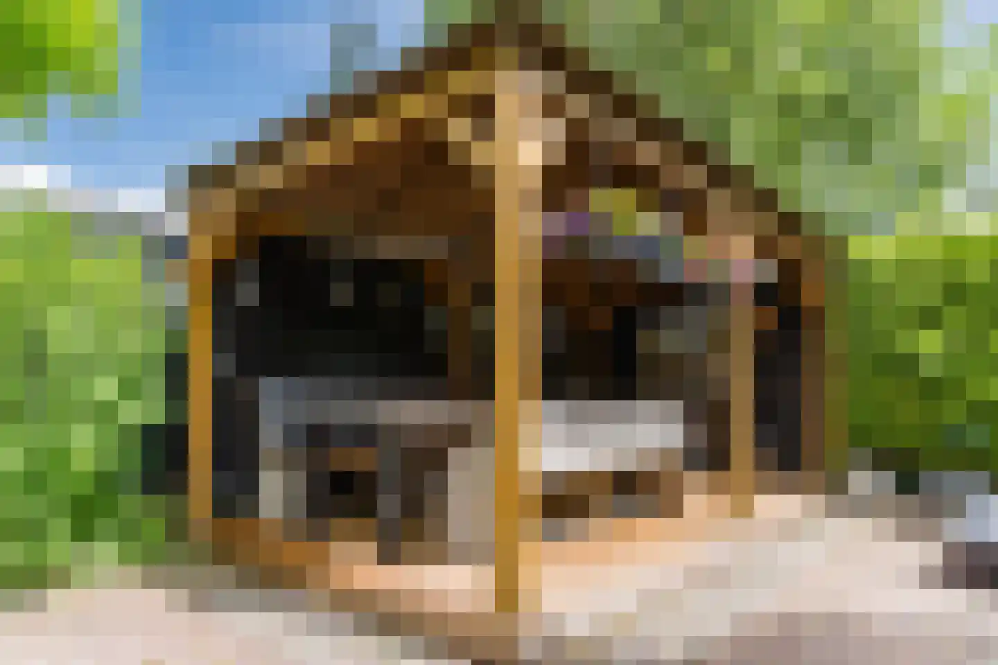 Koninginnekruid 10 Oudkarspel thumbnail 35