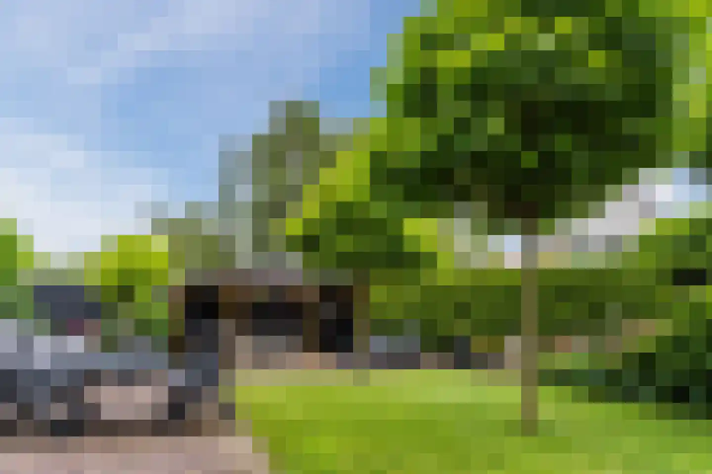 Koninginnekruid 10 Oudkarspel thumbnail 36