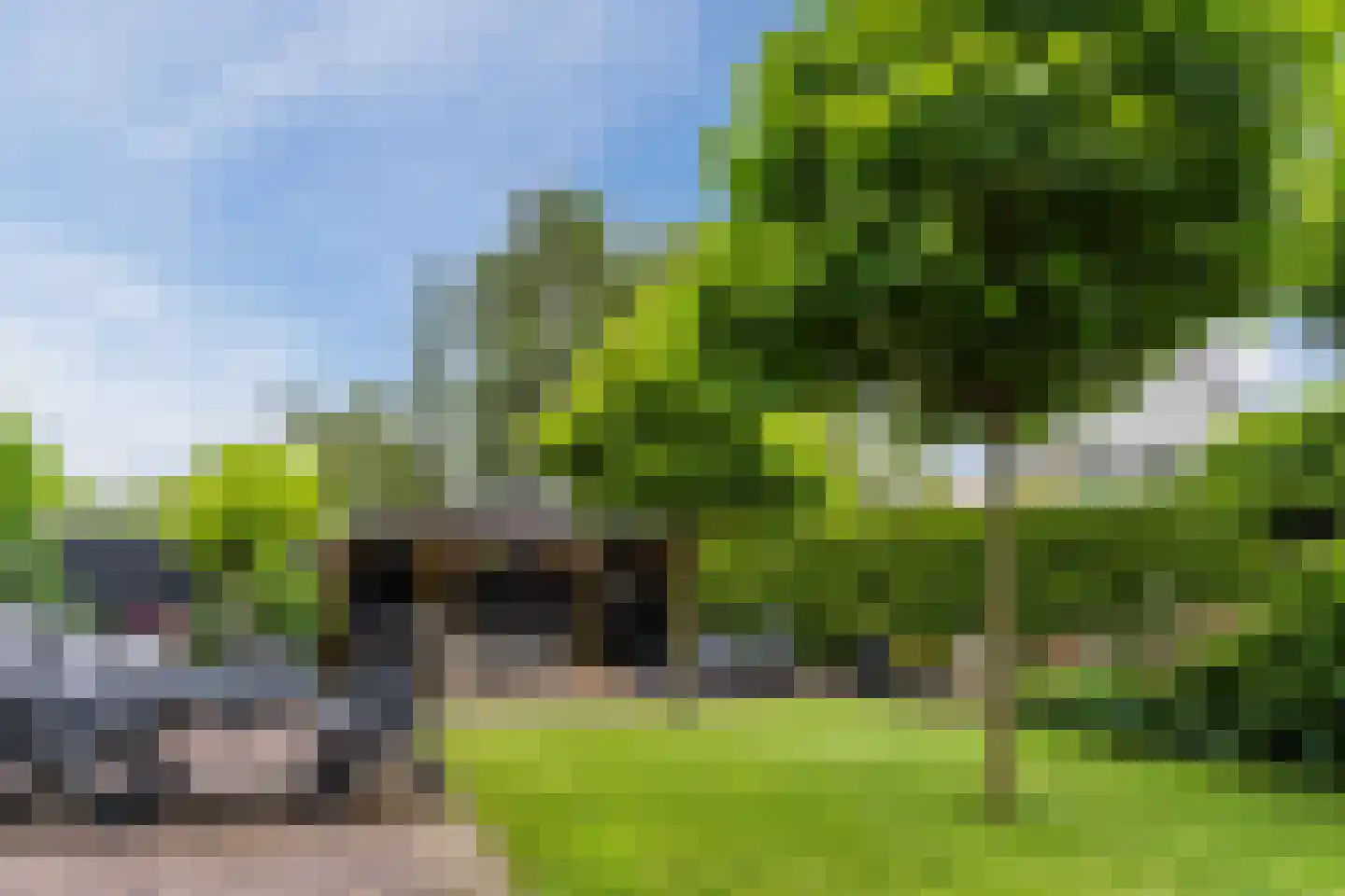 Koninginnekruid 10 Oudkarspel thumbnail 36