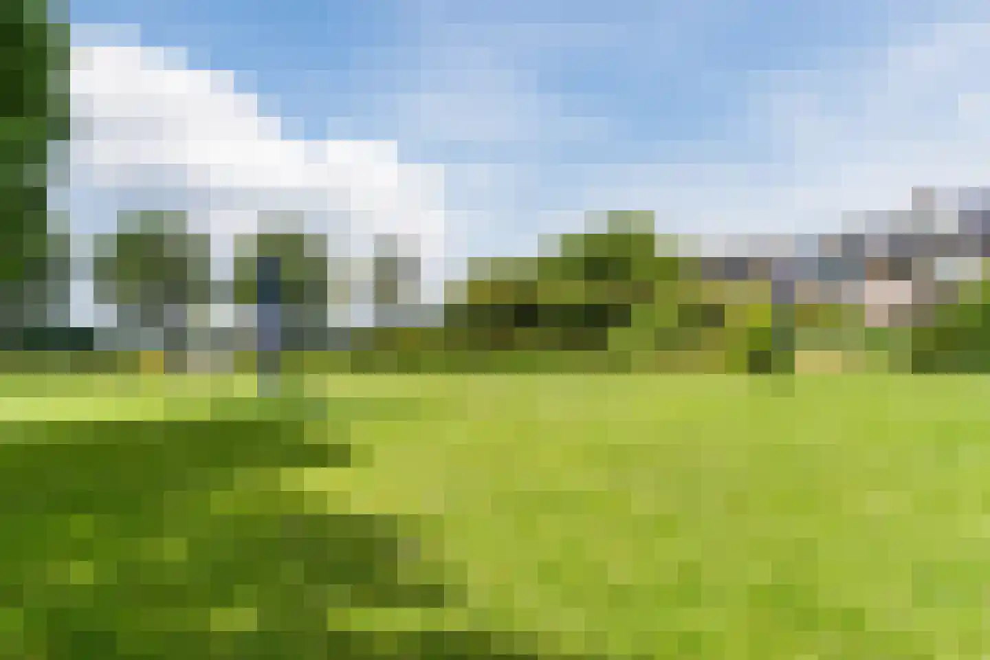 Koninginnekruid 10 Oudkarspel thumbnail 37