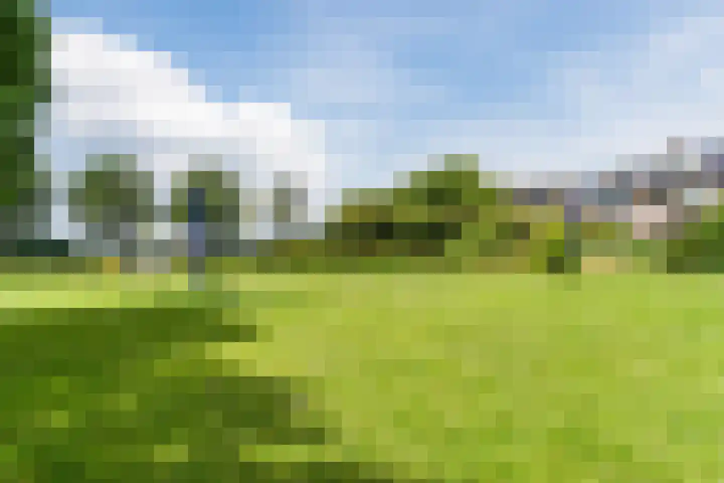 Koninginnekruid 10 Oudkarspel thumbnail 38