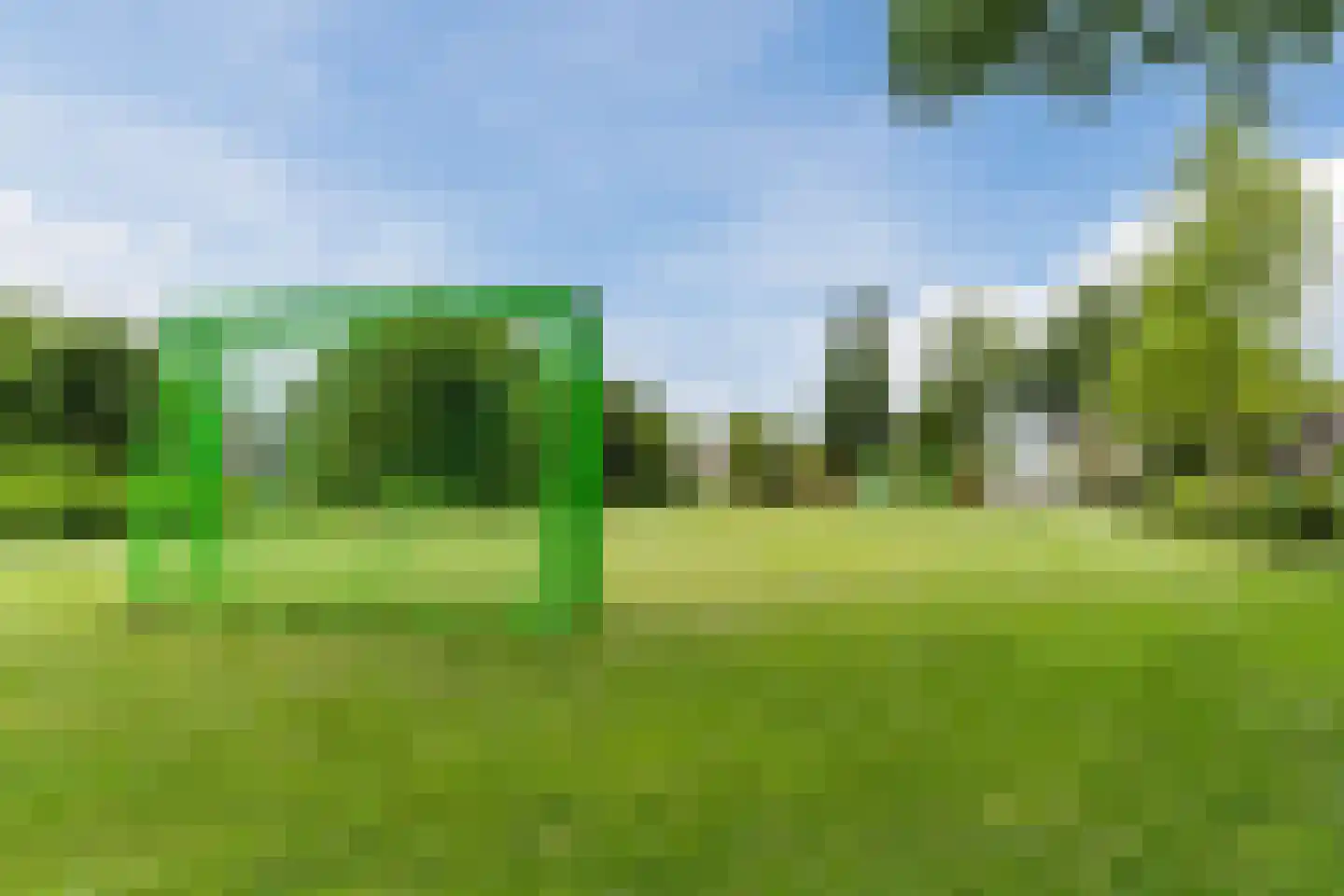 Koninginnekruid 10 Oudkarspel thumbnail 38