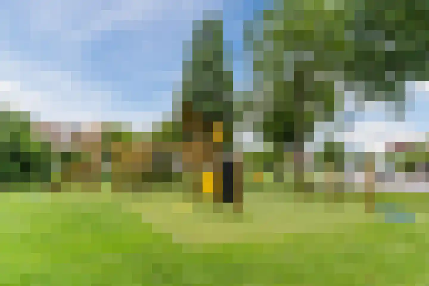 Koninginnekruid 10 Oudkarspel thumbnail 39