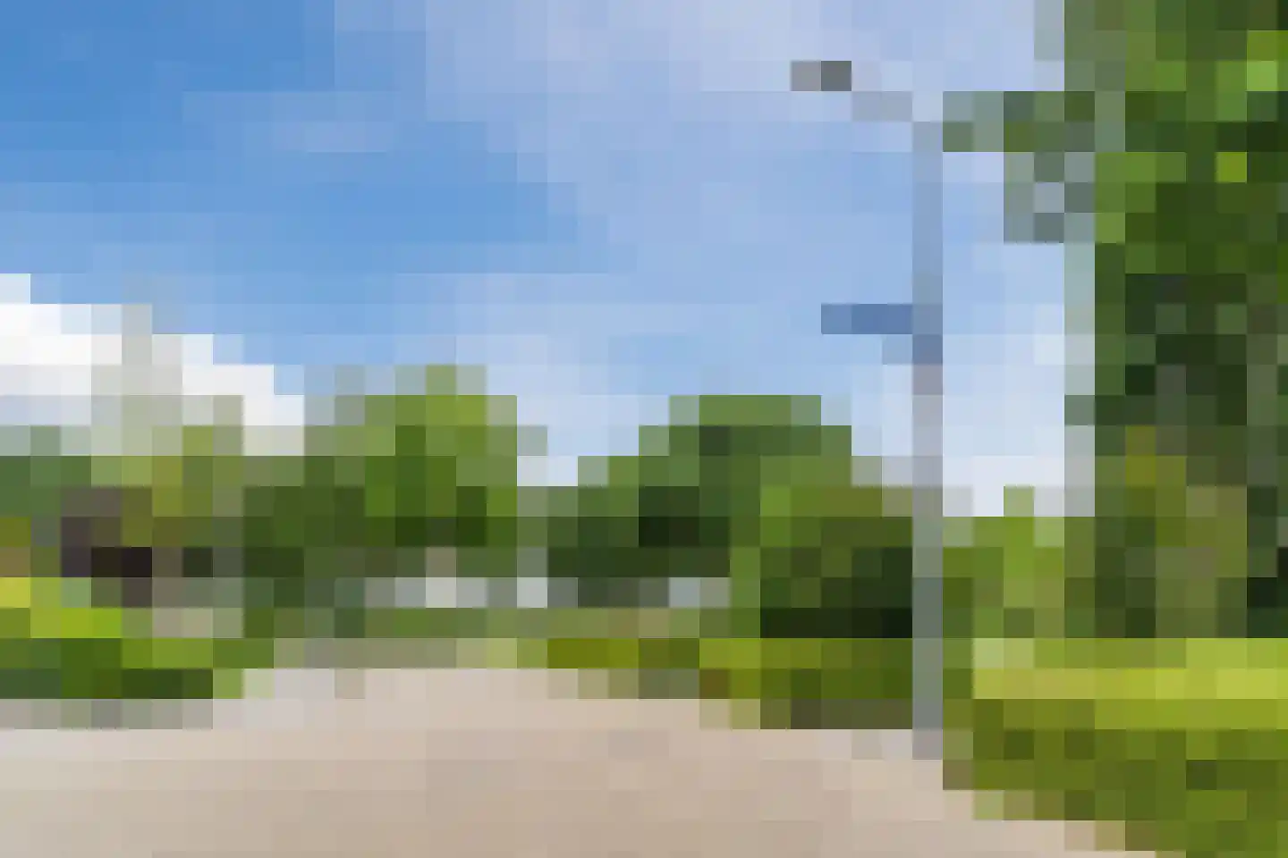 Koninginnekruid 10 Oudkarspel thumbnail 40