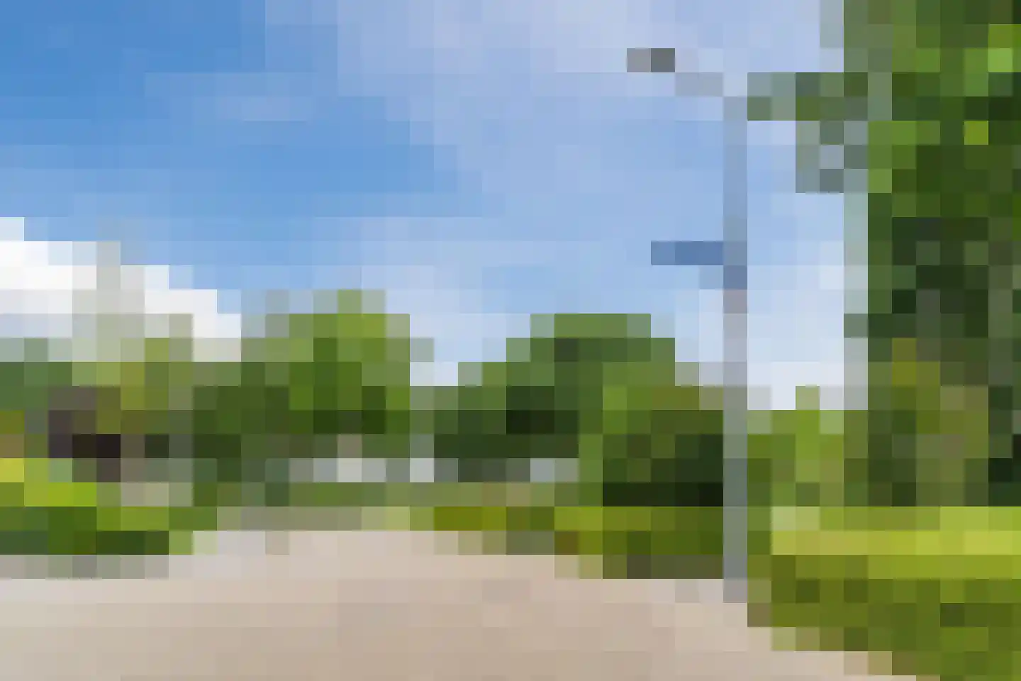 Koninginnekruid 10 Oudkarspel thumbnail 40