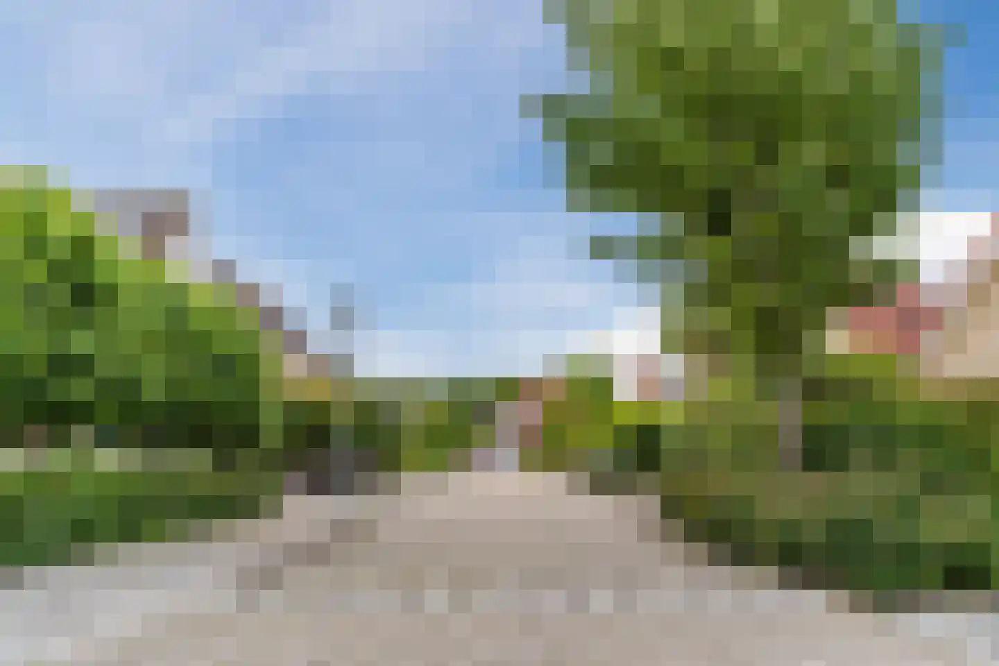 Koninginnekruid 10 Oudkarspel thumbnail 41