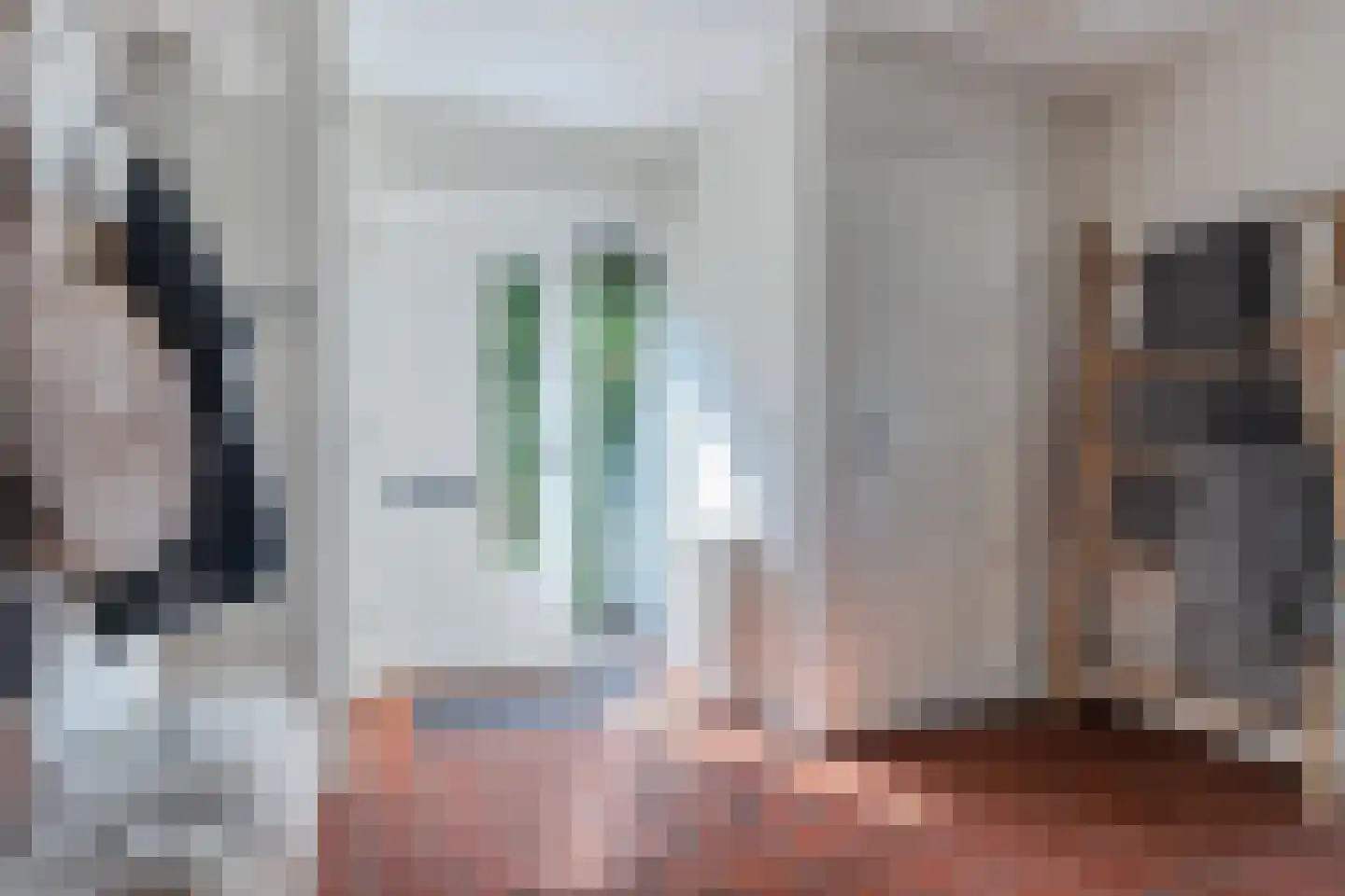 Koninginnekruid 12 Oudkarspel thumbnail 10