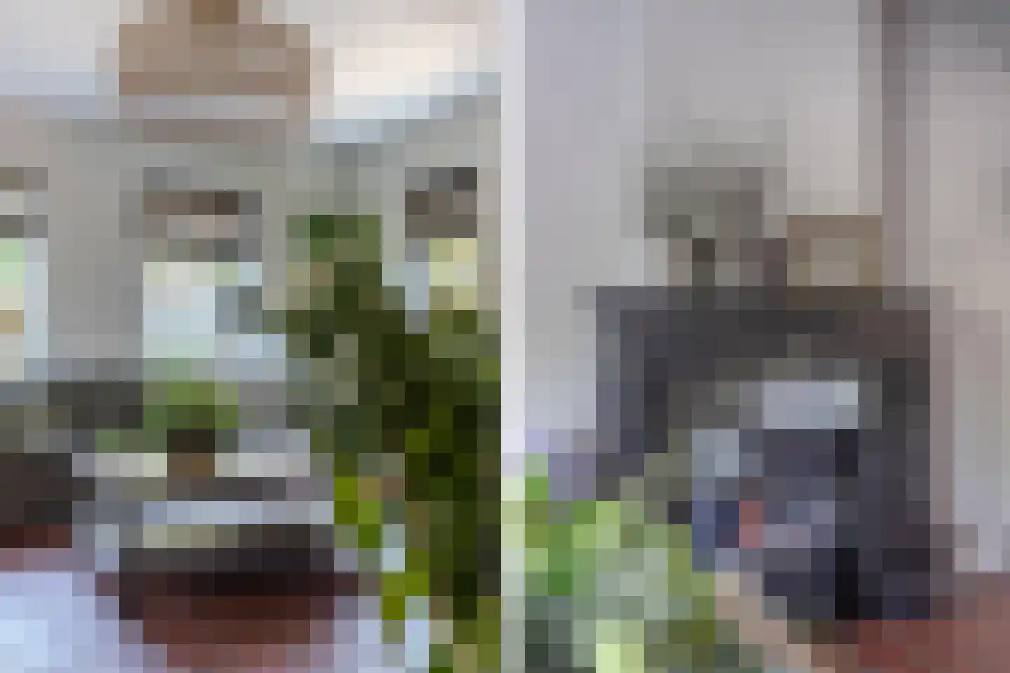 Koninginnekruid 12 Oudkarspel thumbnail 12