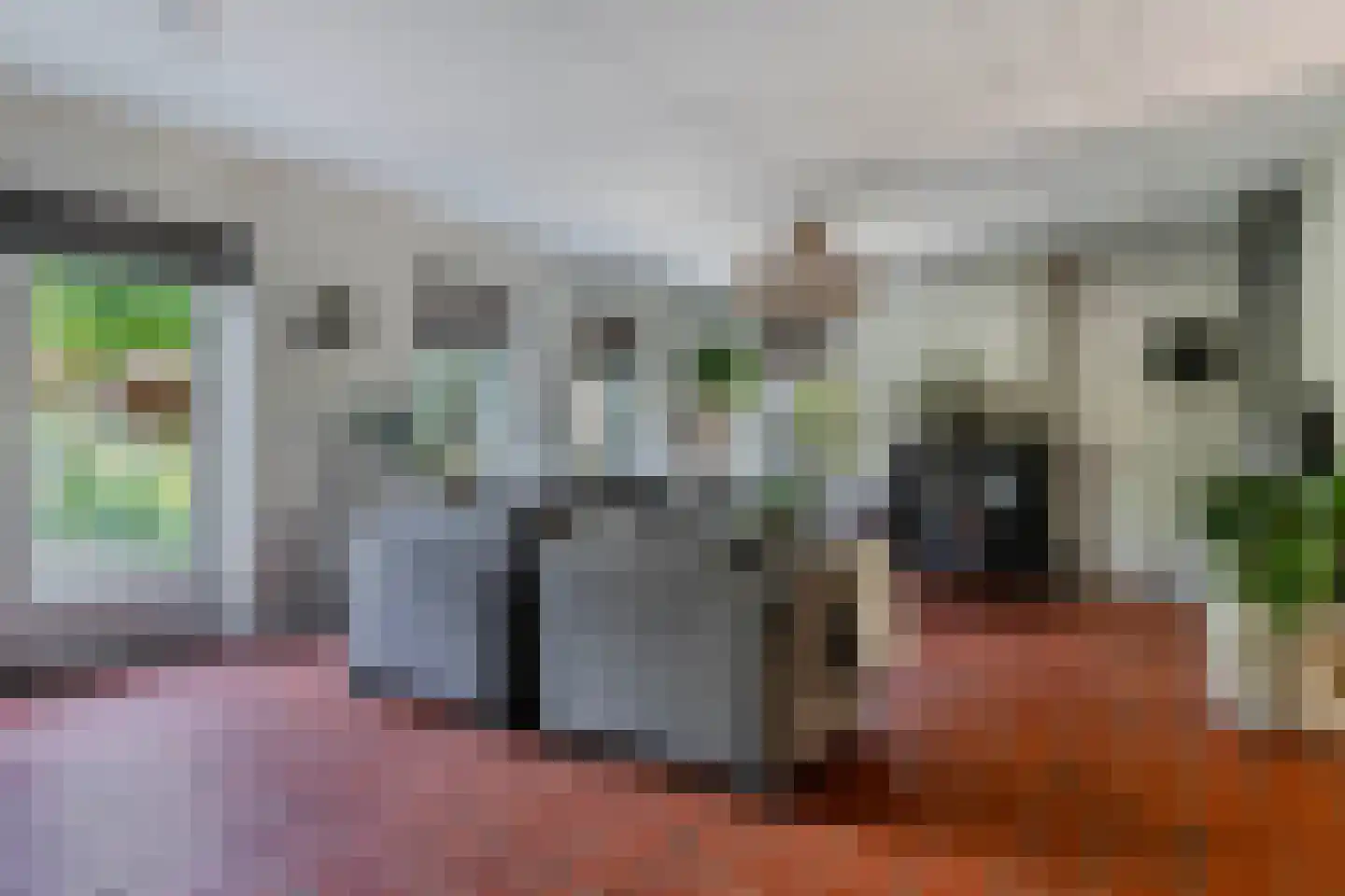 Koninginnekruid 12 Oudkarspel thumbnail 13