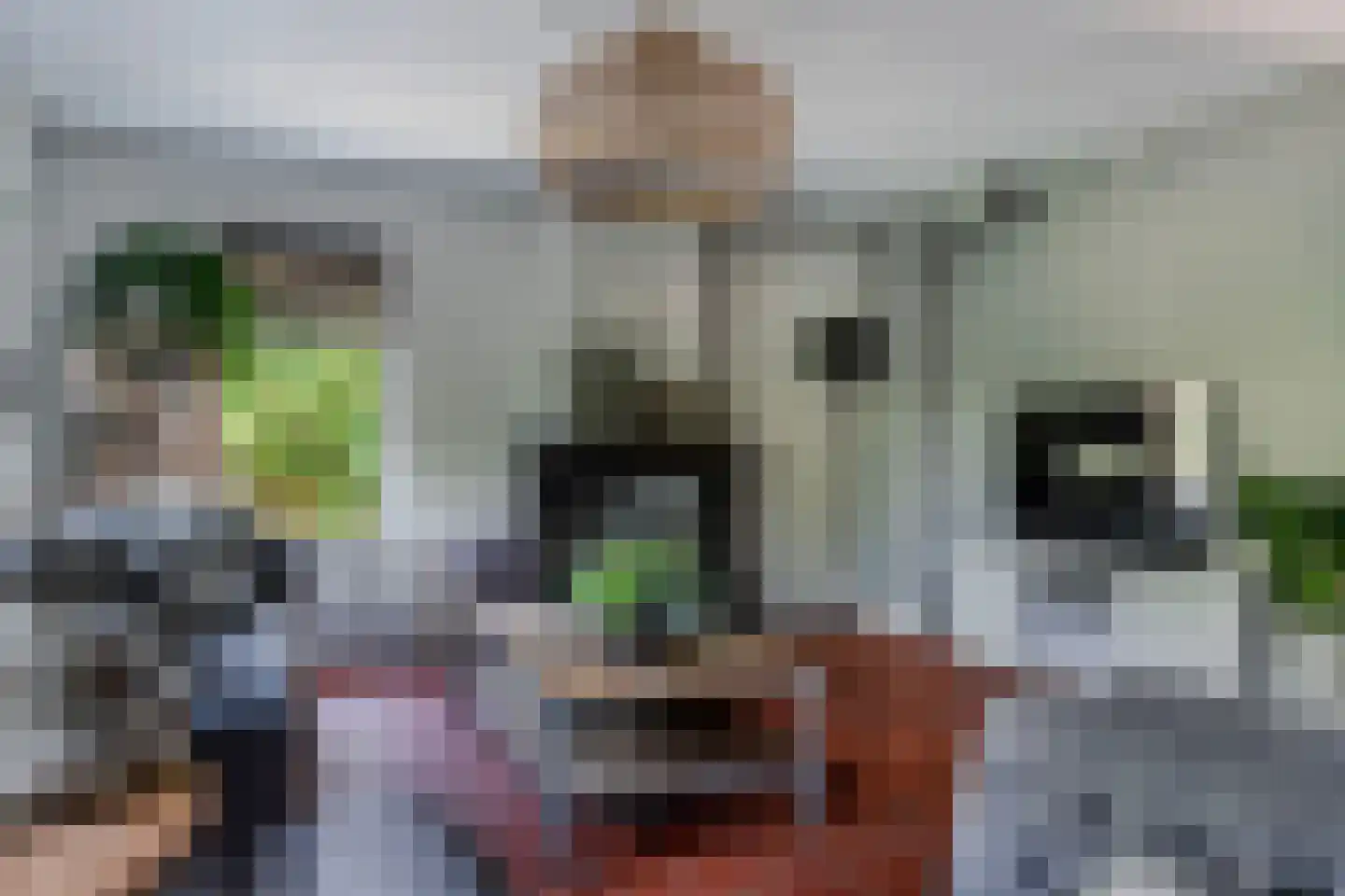Koninginnekruid 12 Oudkarspel thumbnail 14