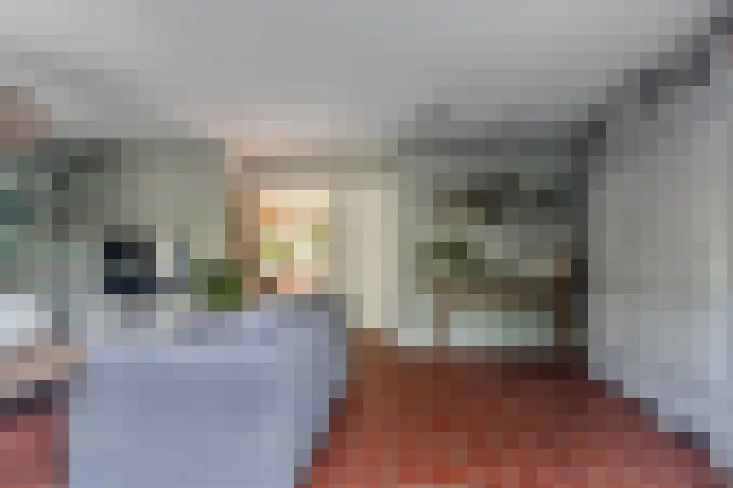 Koninginnekruid 12 Oudkarspel thumbnail 15