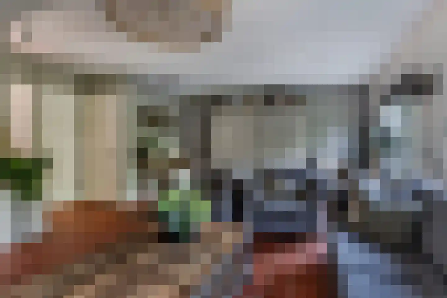 Koninginnekruid 12 Oudkarspel thumbnail 16