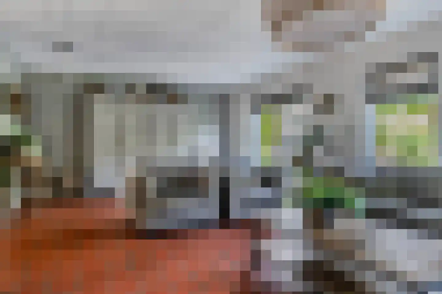 Koninginnekruid 12 Oudkarspel thumbnail 17
