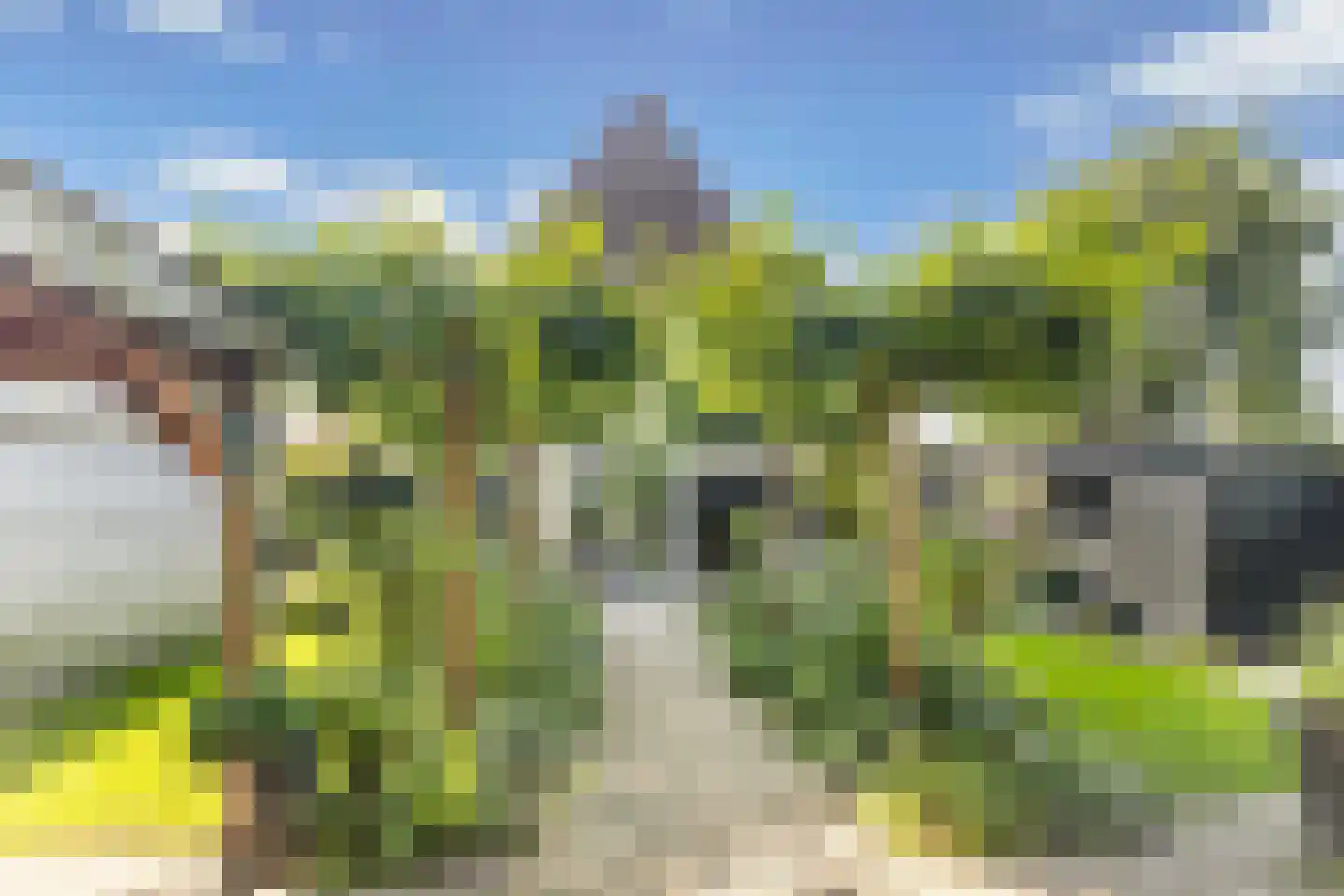 Koninginnekruid 12 Oudkarspel thumbnail 19