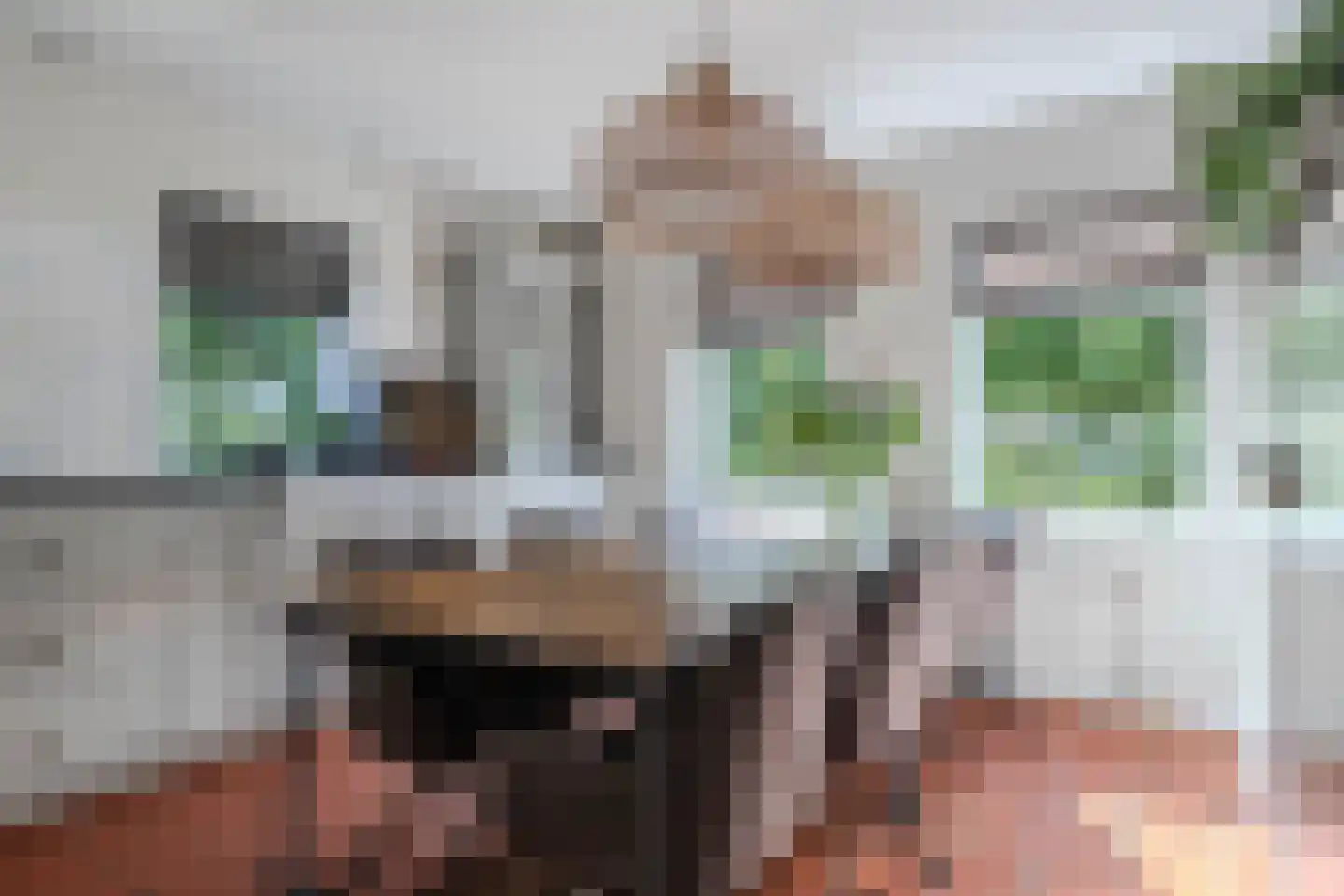 Koninginnekruid 12 Oudkarspel thumbnail 20